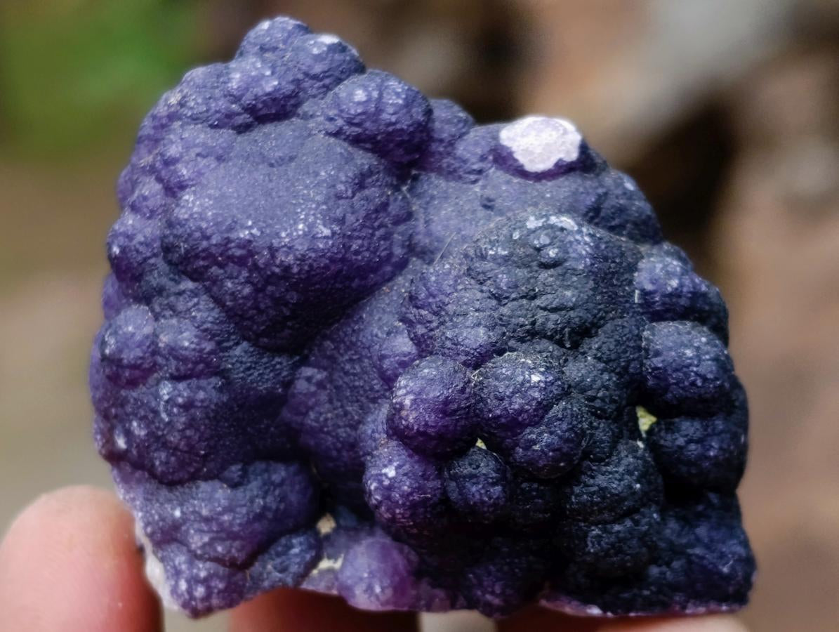 Polished and Natural Mixed Set of 8 African Minerals Crystals and a Fossil in a Wooden Display Box x 1 From Southern Africa