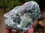 Polished and Natural Mixed Set of 8 African Minerals Crystals and a Fossil in a Wooden Display Box x 1 From Southern Africa