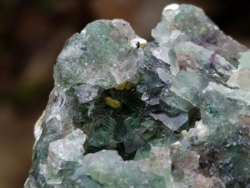 Polished and Natural Mixed Set of 8 African Minerals Crystals and a Fossil in a Wooden Display Box x 1 From Southern Africa