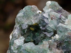 Polished and Natural Mixed Set of 8 African Minerals Crystals and a Fossil in a Wooden Display Box x 1 From Southern Africa