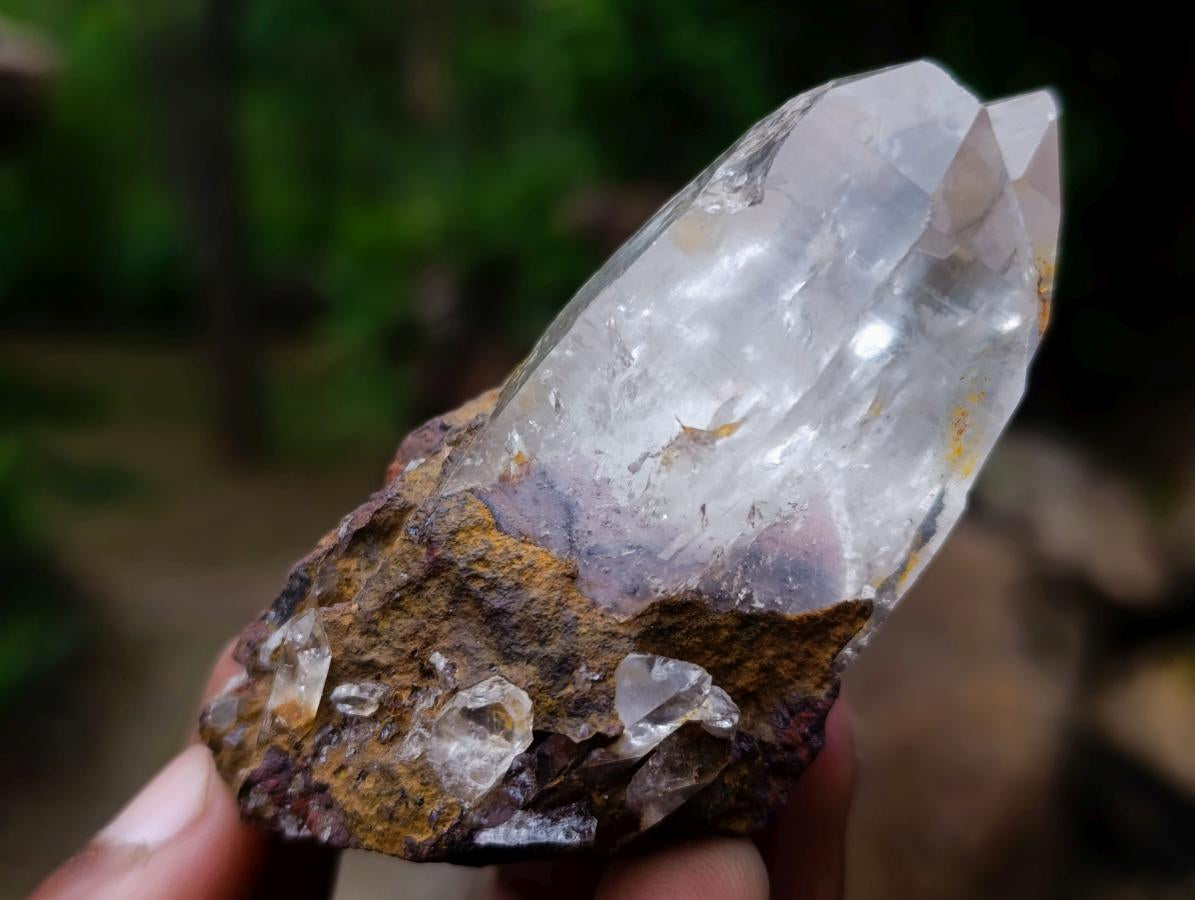 Polished and Natural Mixed Set of 8 African Minerals Crystals and a Fossil in a Wooden Display Box x 1 From Southern Africa