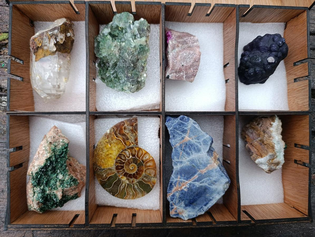 Polished and Natural Mixed Set of 8 African Minerals Crystals and a Fossil in a Wooden Display Box x 1 From Southern Africa