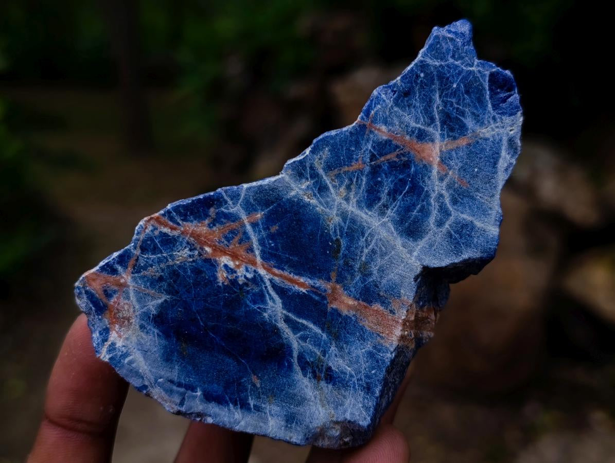 Polished and Natural Mixed Set of 8 African Minerals Crystals and a Fossil in a Wooden Display Box x 1 From Southern Africa