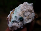 Polished and Natural Mixed Set of 8 African Minerals Crystals and a Fossil in a Wooden Display Box x 1 From Southern Africa