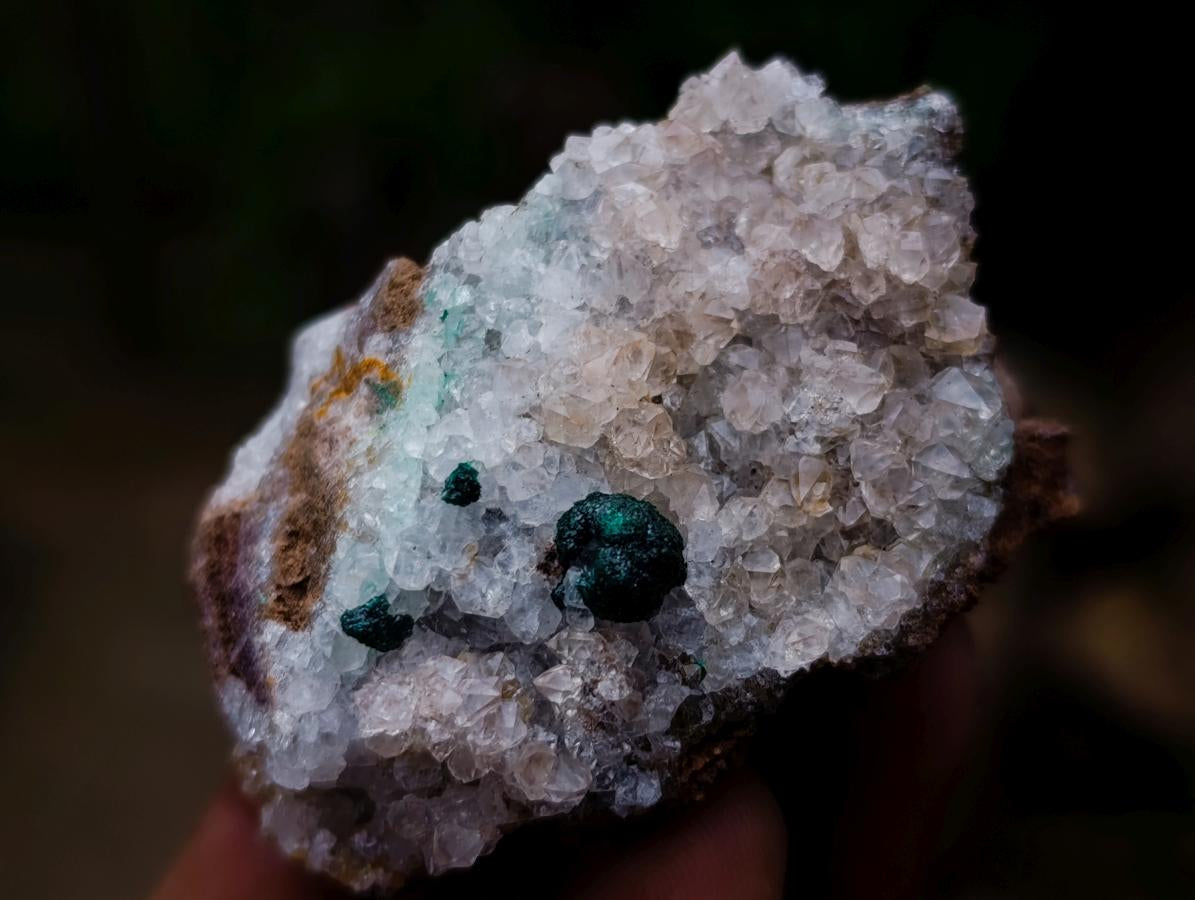 Polished and Natural Mixed Set of 8 African Minerals Crystals and a Fossil in a Wooden Display Box x 1 From Southern Africa