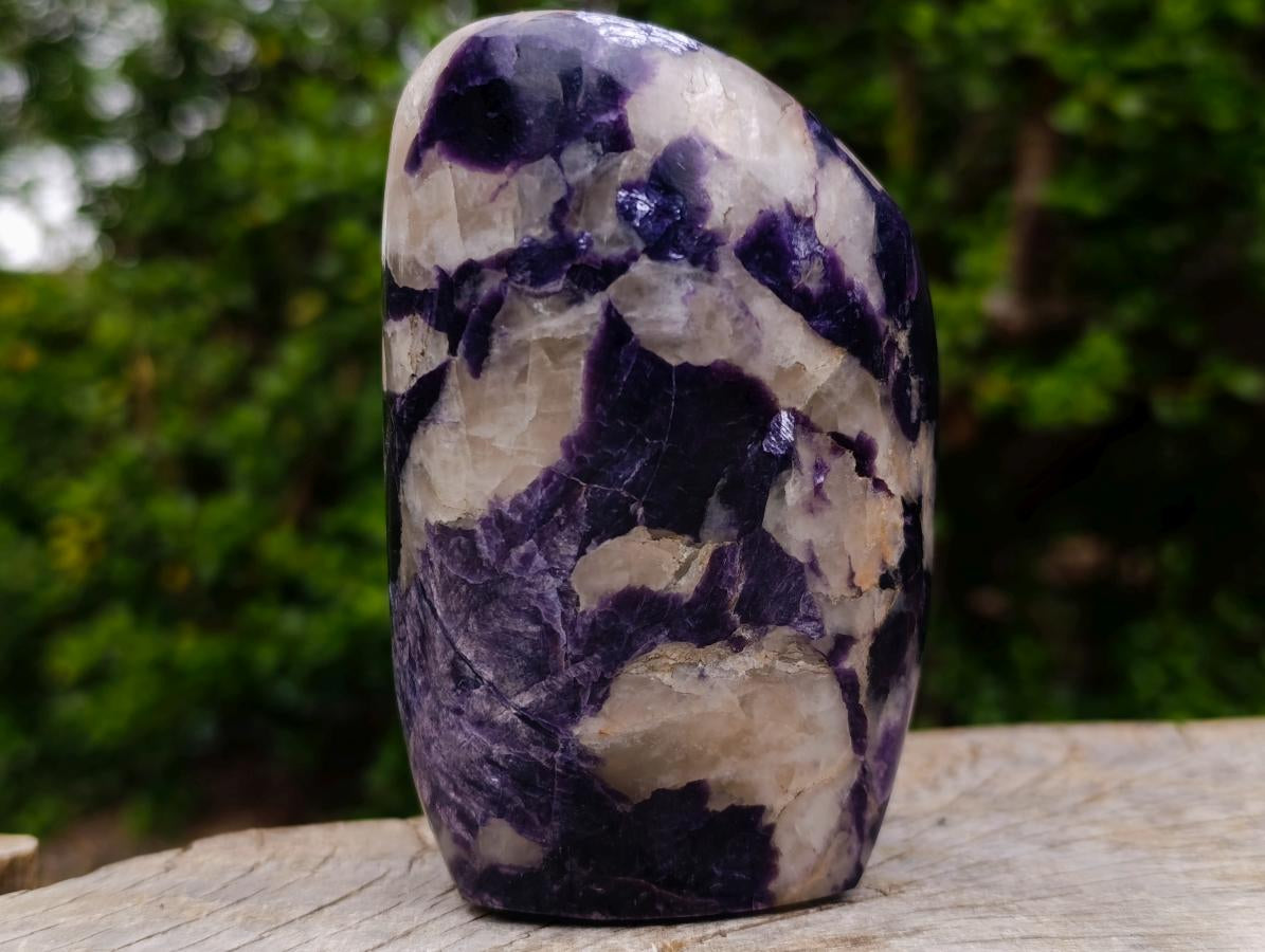 Polished Polished Silver Leaf Lepidolite Display Piece with Reflective Silver Mica Leaf Reflections x 1 From Zimbabwe