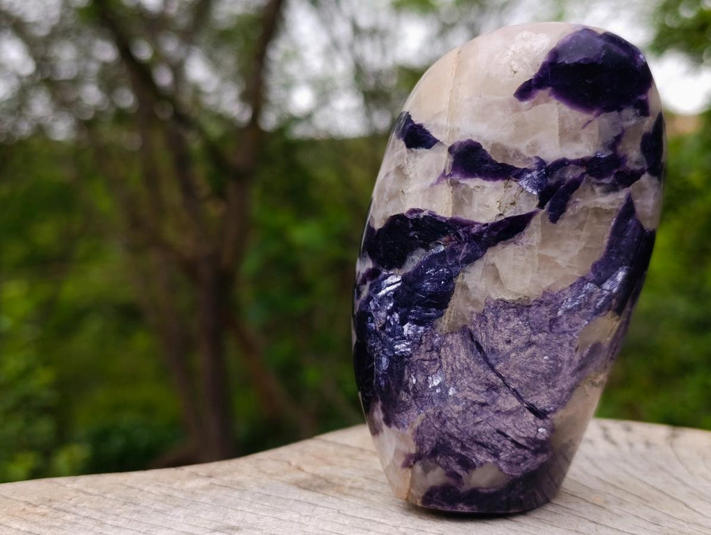 Polished Polished Silver Leaf Lepidolite Display Piece with Reflective Silver Mica Leaf Reflections x 1 From Zimbabwe