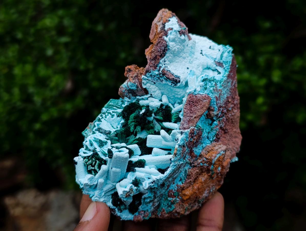 Natural Lupoto Mine Multi Generation Chrysocolla Pseudomorph with Fibrous Malachite Star Crystallisation x 1 From Lupoto Mine, Congo