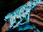 Natural Lupoto Mine Multi Generation Chrysocolla Pseudomorph with Fibrous Malachite Star Crystallisation x 1 From Lupoto Mine, Congo