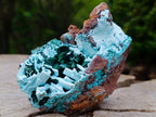Natural Lupoto Mine Multi Generation Chrysocolla Pseudomorph with Fibrous Malachite Star Crystallisation x 1 From Lupoto Mine, Congo