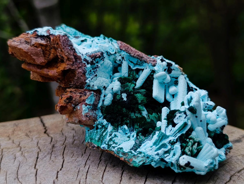 Natural Lupoto Mine Multi Generation Chrysocolla Pseudomorph with Fibrous Malachite Star Crystallisation x 1 From Lupoto Mine, Congo