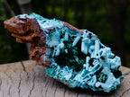 Natural Lupoto Mine Multi Generation Chrysocolla Pseudomorph with Fibrous Malachite Star Crystallisation x 1 From Lupoto Mine, Congo