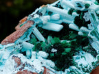 Natural Lupoto Mine Multi Generation Chrysocolla Pseudomorph with Fibrous Malachite Star Crystallisation x 1 From Lupoto Mine, Congo