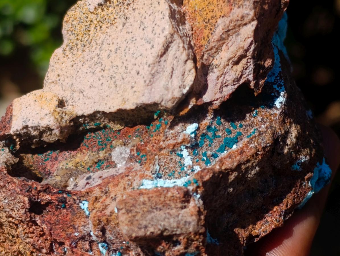 Natural Sparkling Drusy Chrysocolla Pseudomorph after Malachite after Azurite Specimen x 1 From Lupoto Mine, Congo