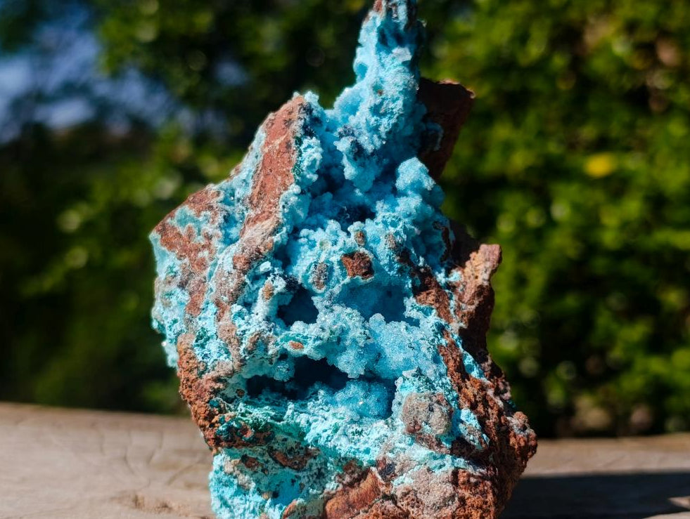 Natural Sparkling Drusy Chrysocolla Pseudomorph after Malachite after Azurite Specimen x 1 From Lupoto Mine, Congo