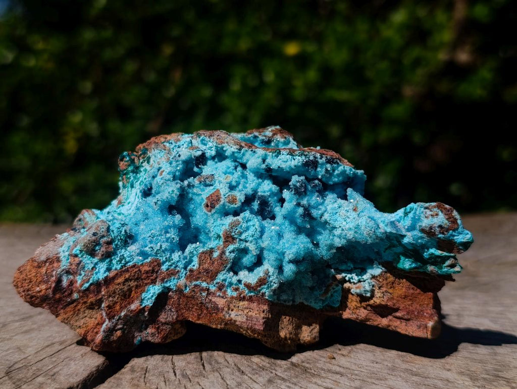 Natural Sparkling Drusy Chrysocolla Pseudomorph after Malachite after Azurite Specimen x 1 From Lupoto Mine, Congo