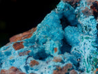 Natural Sparkling Drusy Chrysocolla Pseudomorph after Malachite after Azurite Specimen x 1 From Lupoto Mine, Congo