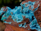 Natural Sparkling Drusy Chrysocolla Pseudomorph after Malachite after Azurite Specimen x 1 From Lupoto Mine, Congo