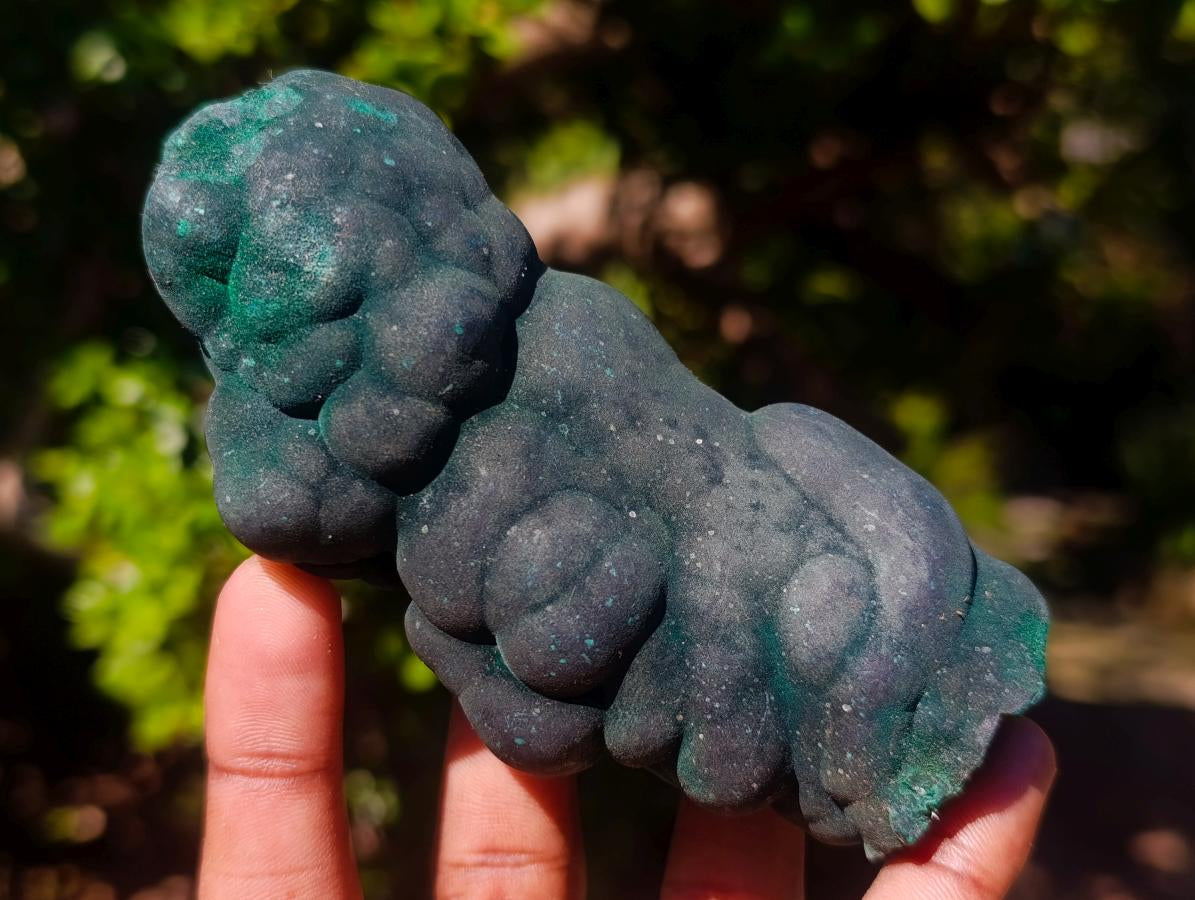 Natural Botryoidal Stalagmite Silky Malachite Specimen x 1 From L'Etoile Mine, Congo