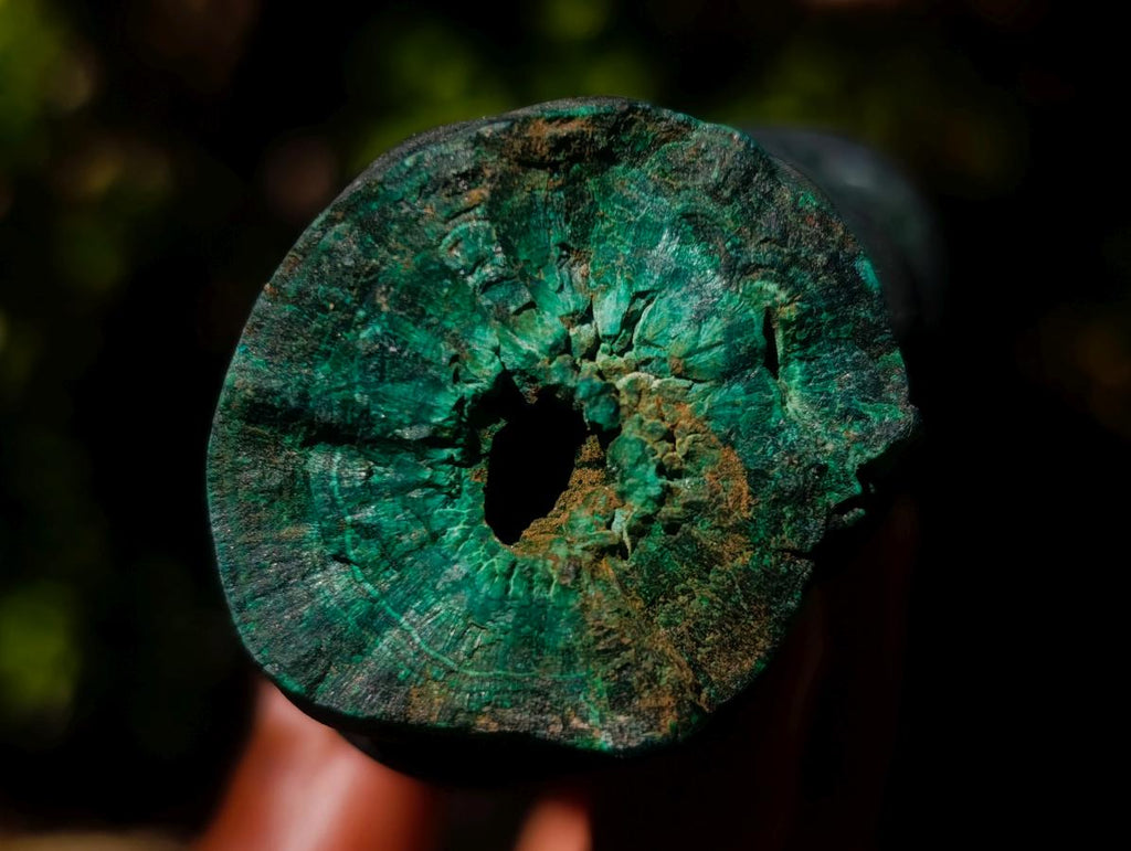 Natural Botryoidal Stalagmite Silky Malachite Specimen x 1 From L'Etoile Mine, Congo