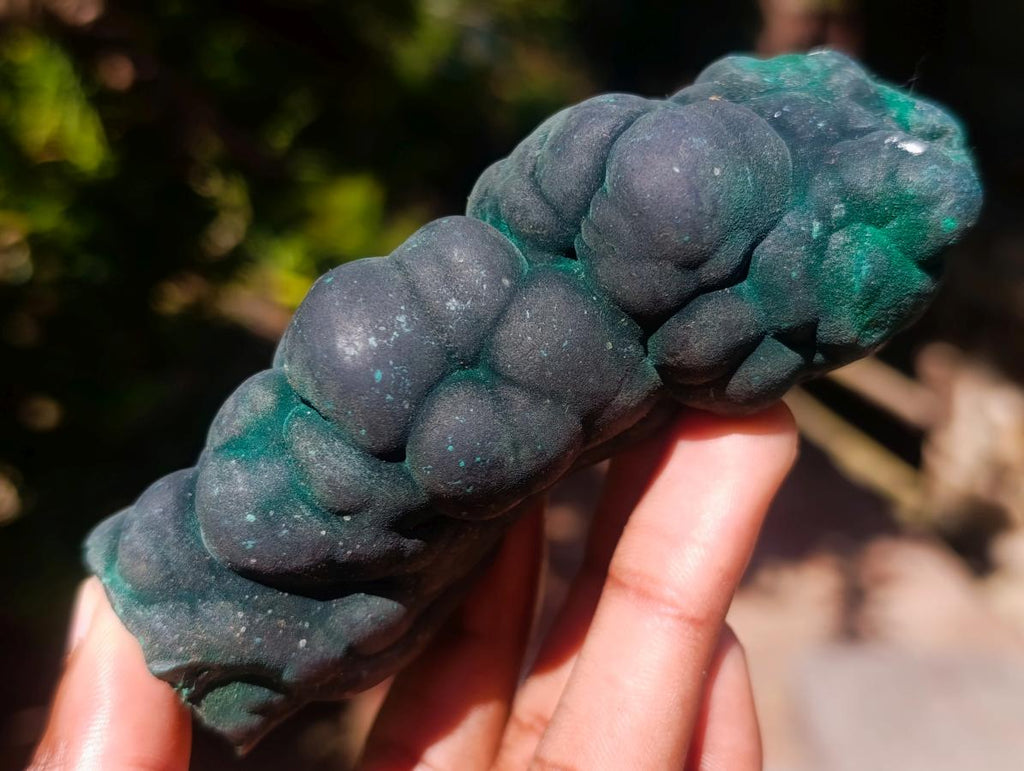 Natural Botryoidal Stalagmite Silky Malachite Specimen x 1 From L'Etoile Mine, Congo