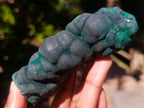 Natural Botryoidal Stalagmite Silky Malachite Specimen x 1 From L'Etoile Mine, Congo
