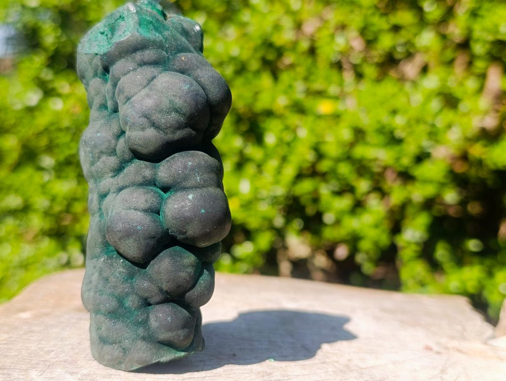 Natural Botryoidal Stalagmite Silky Malachite Specimen x 1 From L'Etoile Mine, Congo