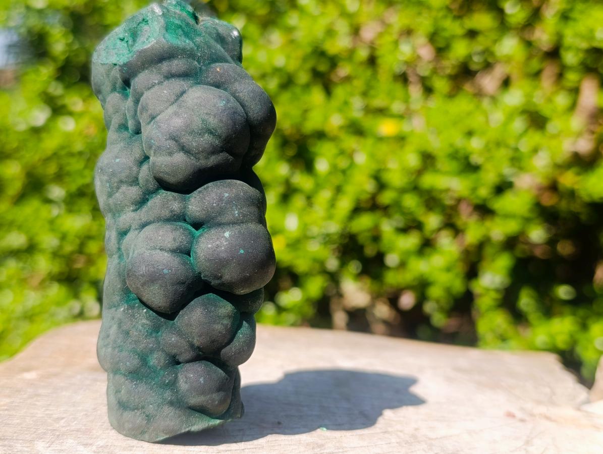 Natural Botryoidal Stalagmite Silky Malachite Specimen x 1 From L'Etoile Mine, Congo