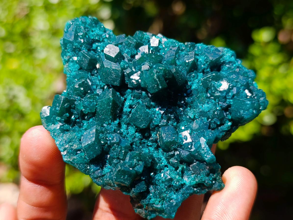 Natural Perfect Dioptase Specimen with No Matrix x 1 From Tantara, Congo