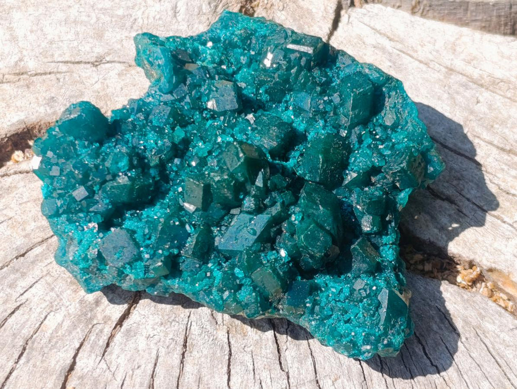 Natural Perfect Dioptase Specimen with No Matrix x 1 From Tantara, Congo