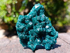 Natural Perfect Dioptase Specimen with No Matrix x 1 From Tantara, Congo