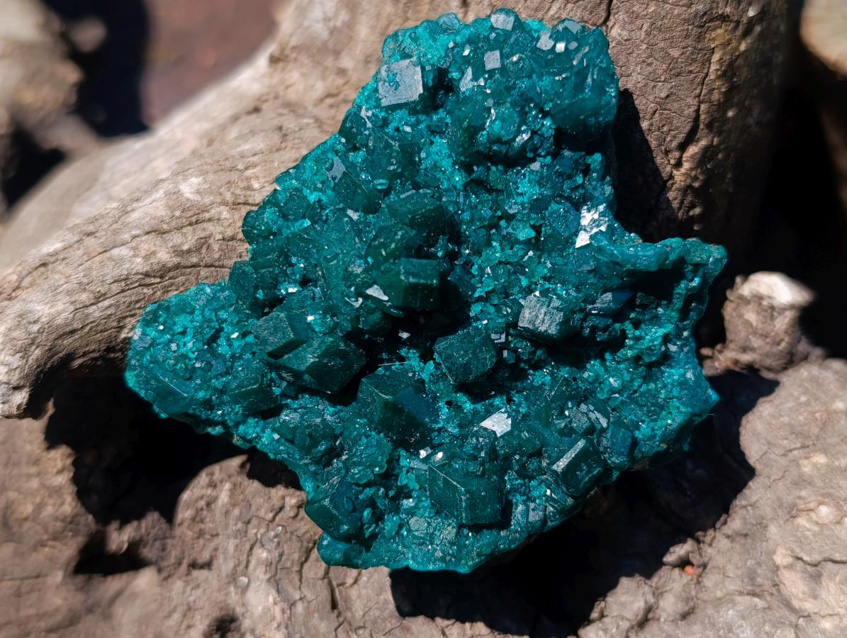 Natural Perfect Dioptase Specimen with No Matrix x 1 From Tantara, Congo