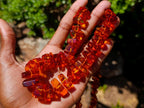 Hand Made AA Grade Fossil Amber Necklace x 1 From Poland