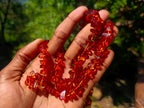 Hand Made AA Grade Fossil Amber Necklace x 1 From Poland