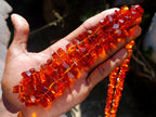 Hand Made AA Grade Fossil Amber Necklace x 1 From Poland