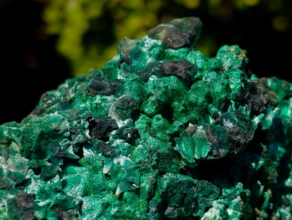 Natural Large 15 cm Velvet Rosette Malachite Specimen x 1 From Kasompe, Congo
