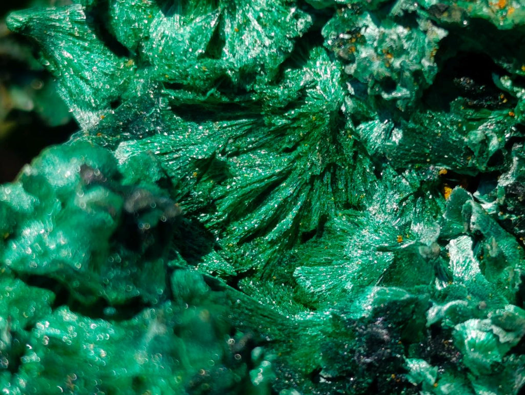 Natural Large 15 cm Velvet Rosette Malachite Specimen x 1 From Kasompe, Congo