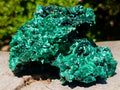 Natural Large 15 cm Velvet Rosette Malachite Specimen x 1 From Kasompe, Congo