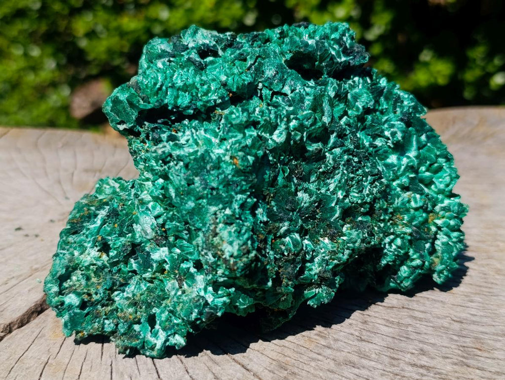 Natural Large 15 cm Velvet Rosette Malachite Specimen x 1 From Kasompe, Congo