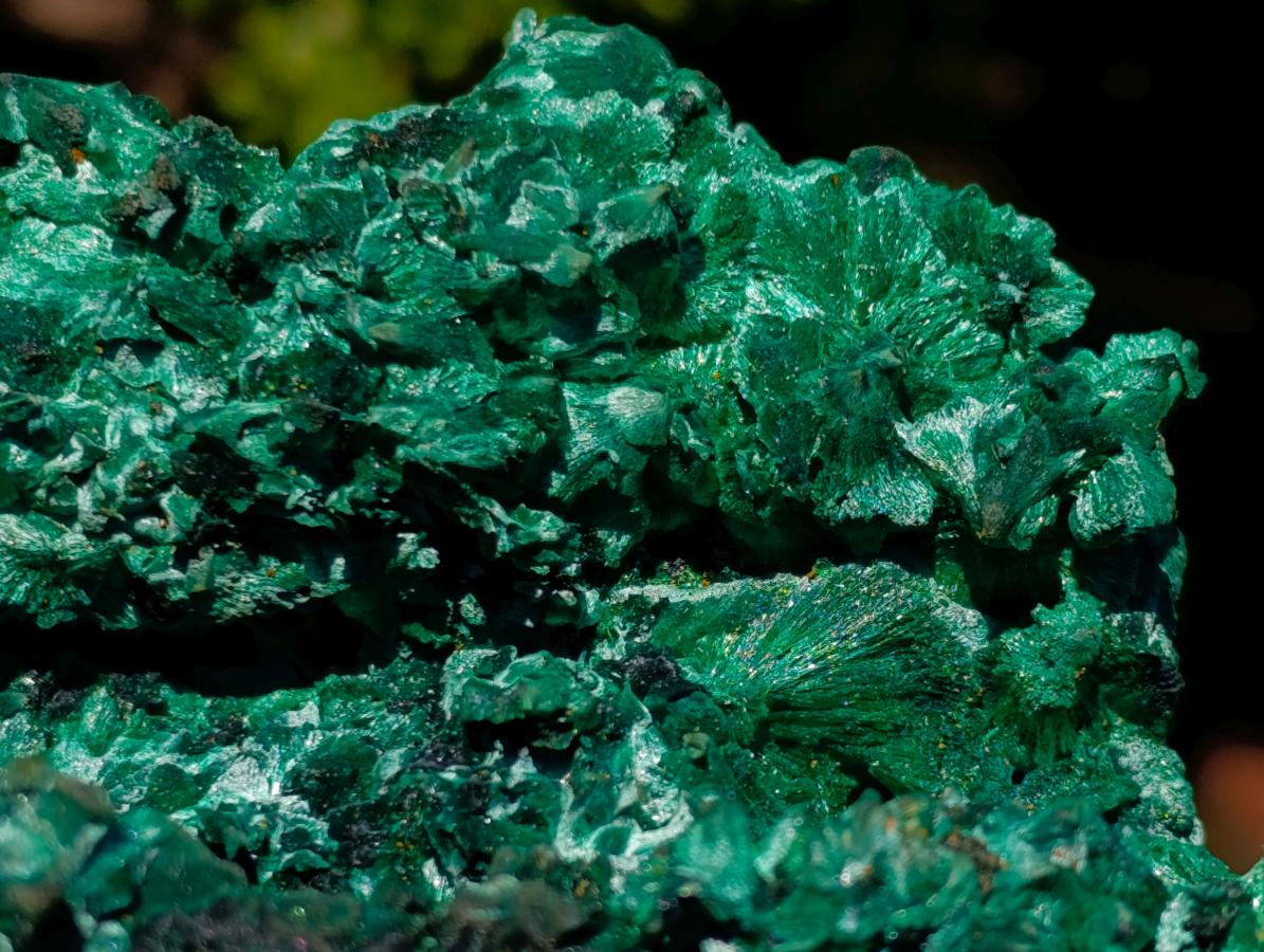 Natural Large 15 cm Velvet Rosette Malachite Specimen x 1 From Kasompe, Congo