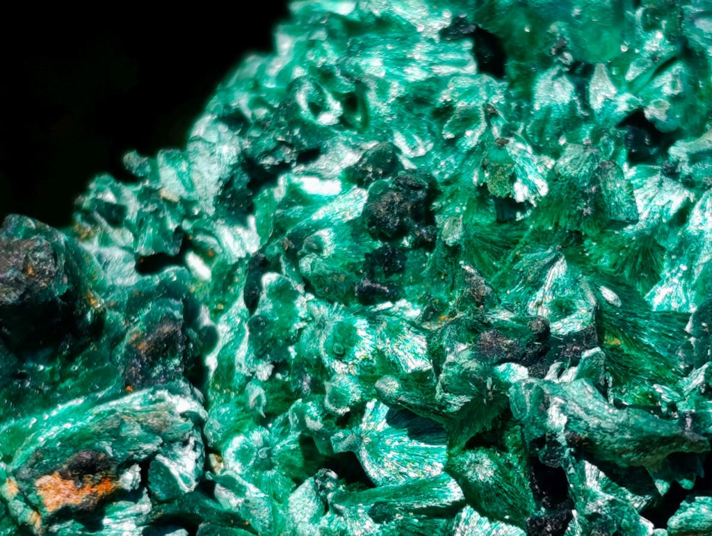 Natural Large 15 cm Velvet Rosette Malachite Specimen x 1 From Kasompe, Congo