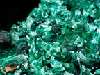 Natural Large 15 cm Velvet Rosette Malachite Specimen x 1 From Kasompe, Congo