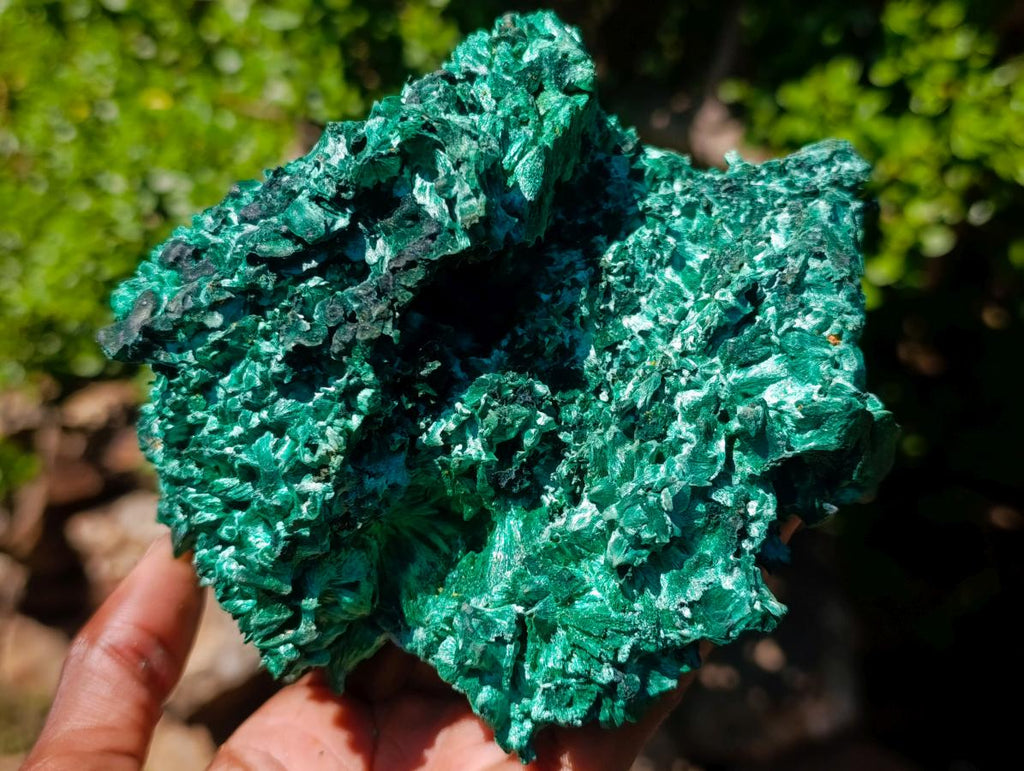Natural Large 15 cm Velvet Rosette Malachite Specimen x 1 From Kasompe, Congo