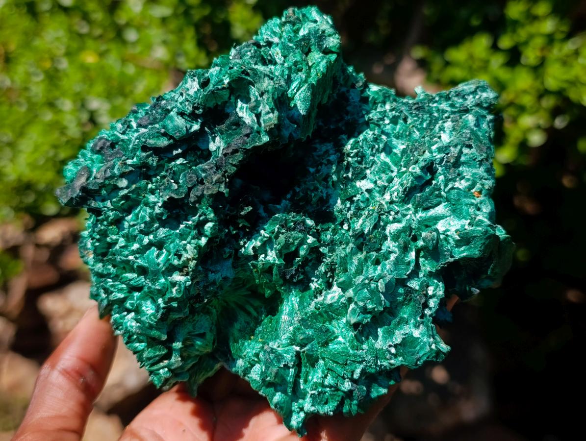 Natural Large 15 cm Velvet Rosette Malachite Specimen x 1 From Kasompe, Congo