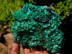 Natural Large 15 cm Velvet Rosette Malachite Specimen x 1 From Kasompe, Congo