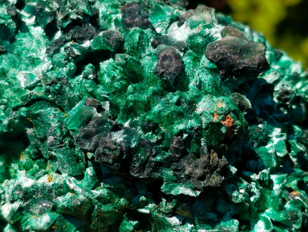 Natural Large 15 cm Velvet Rosette Malachite Specimen x 1 From Kasompe, Congo
