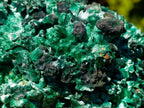 Natural Large 15 cm Velvet Rosette Malachite Specimen x 1 From Kasompe, Congo