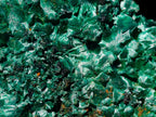 Natural Large 15 cm Velvet Rosette Malachite Specimen x 1 From Kasompe, Congo