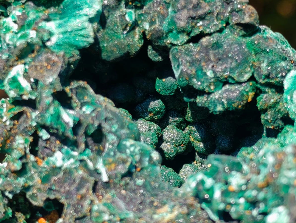 Natural Large 15 cm Velvet Rosette Malachite Specimen x 1 From Kasompe, Congo