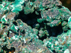 Natural Large 15 cm Velvet Rosette Malachite Specimen x 1 From Kasompe, Congo